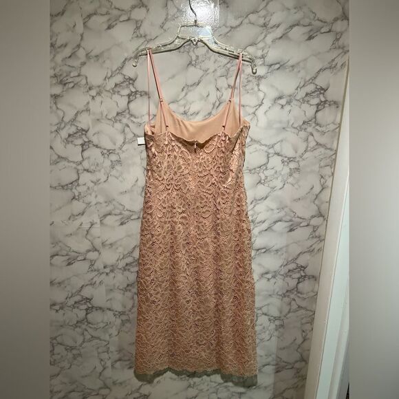 Sam Edelman Soft Pink Lace Dress Size 8 - Picture 5 of 5